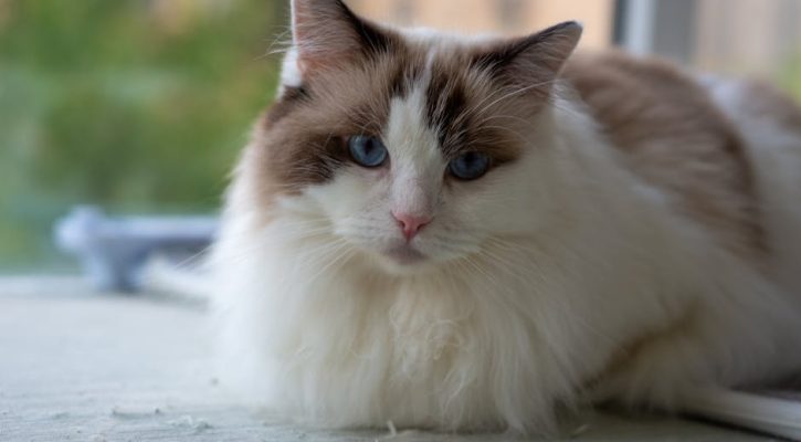 年金的重要性與理性規劃